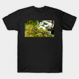 Garter Snake In Moss T-Shirt